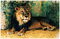 100_1059 copie